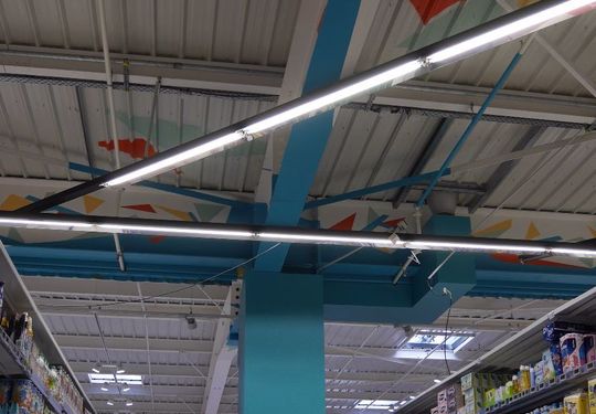 Image 24 du projet Arbres Stylises - Scénographie Intérieure