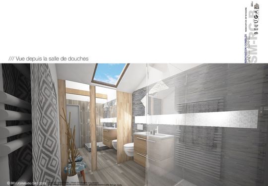 Image 5 du projet Smrcb - Renovation - Combles